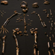 Illustration for article titled Scientists Have Discovered a New Human-Like Species in South Africa